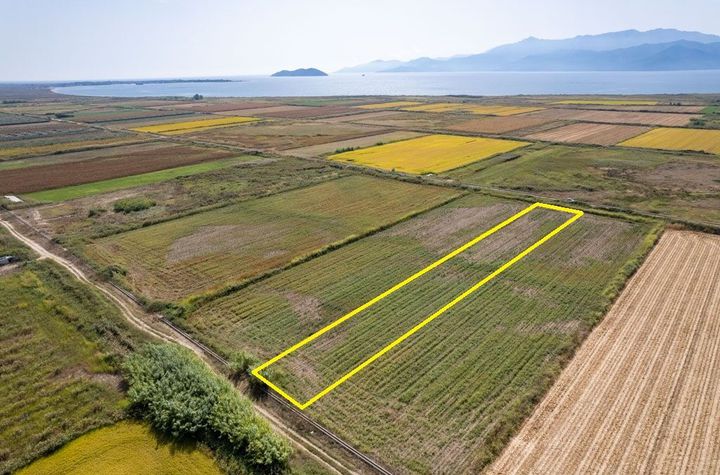 Teren agricol 5.967 mp în Piges — pachet 2 loturi anunturi imobiliare Grecia