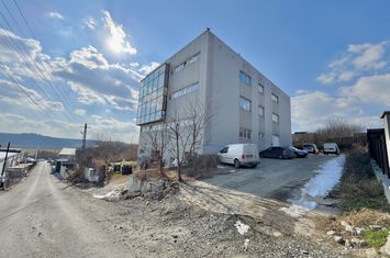 Spațiu industrial de vanzare POPAS PACURARI - Iasi anunturi imobiliare Iasi