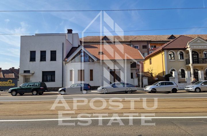 Vilă - 9 camere de vanzare ROMANILOR - Arad anunturi imobiliare Arad