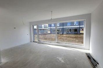 Vilă - 4 camere de vanzare RASINARI - Sibiu anunturi imobiliare Sibiu