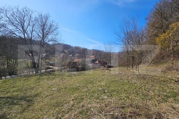 Teren de vanzare ALMASU MARE - Alba anunturi imobiliare Alba