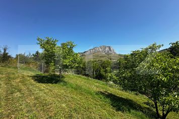 Teren de vanzare VALISOARA - Alba anunturi imobiliare Alba