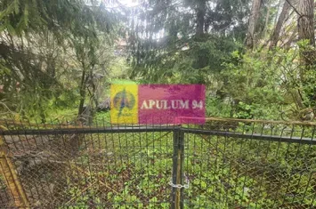 Apartament cu 3 camere de vanzare in Busteni - Zona Alexandros anunturi imobiliare Prahova