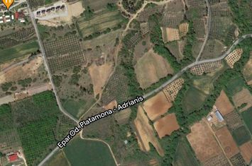 Teren construibil 4199 mp în Krioneri, Kavala anunturi imobiliare Grecia
