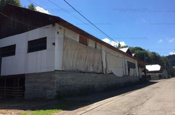 Casa P+E + atelier si anexe, Sadova, jud Suceava anunturi imobiliare Suceava