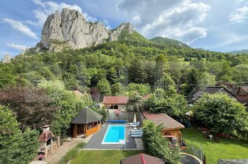 Vilă - 6 camere de vanzare TEIUS - Alba anunturi imobiliare Alba