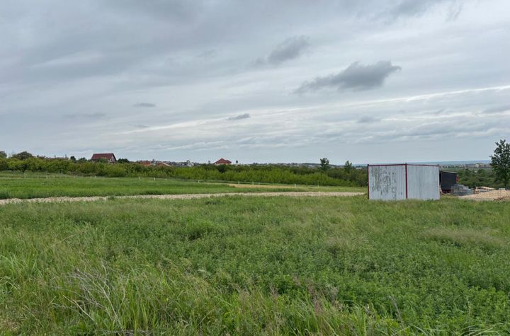 Teren de vanzare PALEU - Bihor anunturi imobiliare Bihor