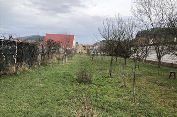 Teren Intravilan de vanzare SANPETRU - Brasov anunturi imobiliare Brasov