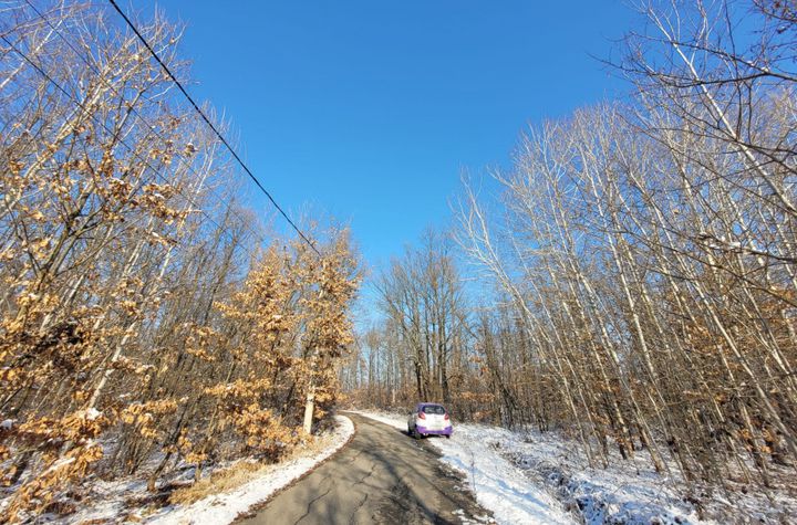 Teren de vanzare SCOARTA - Gorj anunturi imobiliare Gorj