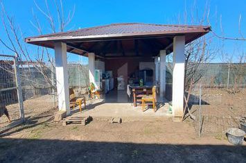 Casă - 4 camere de vanzare STUPINI - Brasov anunturi imobiliare Brasov