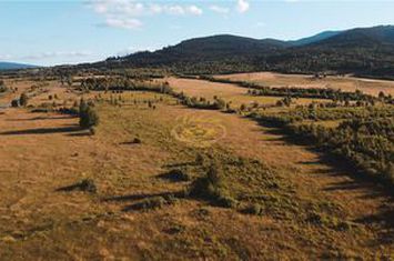 Teren Intravilan de vanzare SUSENI - Harghita anunturi imobiliare Harghita