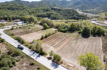Teren 4206 mp în Exochi (Kavala) anunturi imobiliare Grecia