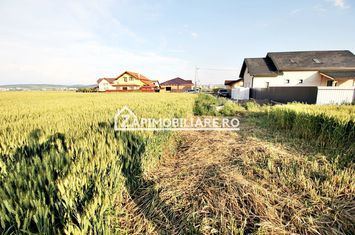 Teren intravilan 525 mp.50euro mp. anunturi imobiliare Mures