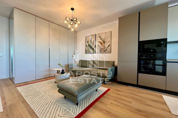 Apartament de lux cu 2 camere, open space, zona Take Ionescu (ISHO) anunturi imobiliare Timis
