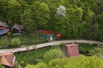 Casă - 4 camere de vanzare CENTRAL - Alba anunturi imobiliare Alba