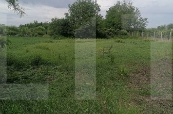 Casă - 3 camere de vanzare BRAESTI - Botosani anunturi imobiliare Botosani