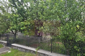 Casa de vanzare in Campina anunturi imobiliare Prahova