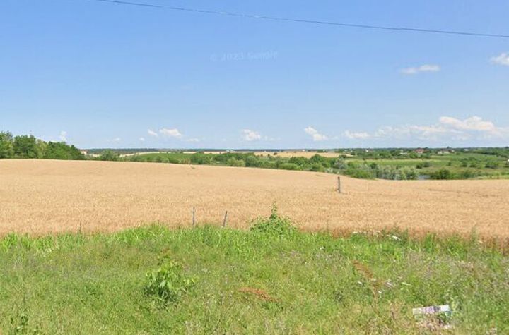 Teren extravilan 25.900 m.p. - Moara Vlasiei anunturi imobiliare Bucuresti