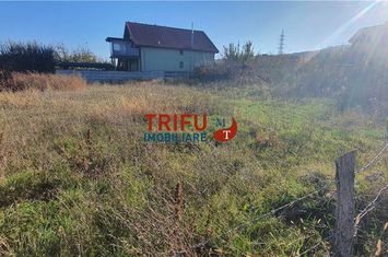 Teren Intravilan de vanzare CENTRAL - Alba anunturi imobiliare Alba