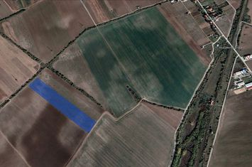 VANZARE TEREN EXTRAVILAN - MOARA VLASIEI - 2,6 HA. - TARLAUA 26 anunturi imobiliare Bucuresti