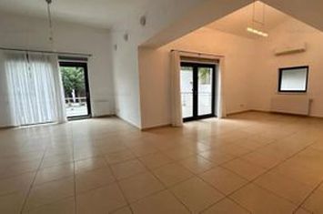 Casa cu piscina lângă Padurea Baneasa-Iancu Nicolae. anunturi imobiliare Bucuresti