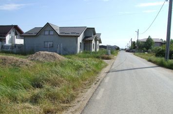 Domnesti-Ciocarliei Merisorului anunturi imobiliare Bucuresti