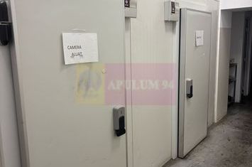 Vnzare spatiu comercial in zona Chisinau-Lacul Fundeni anunturi imobiliare Bucuresti