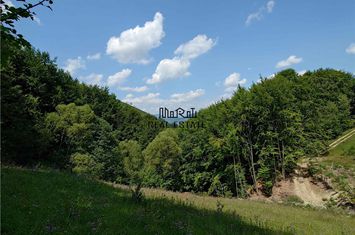 Teren Extravilan de vanzare BUCES - Hunedoara anunturi imobiliare Hunedoara