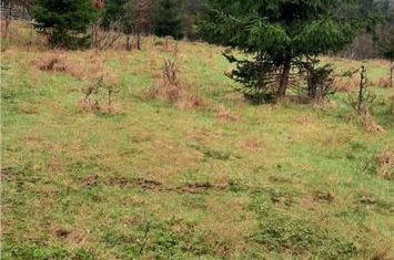 Garsonieră de vanzare BUCURESTI - Bucuresti anunturi imobiliare Bucuresti