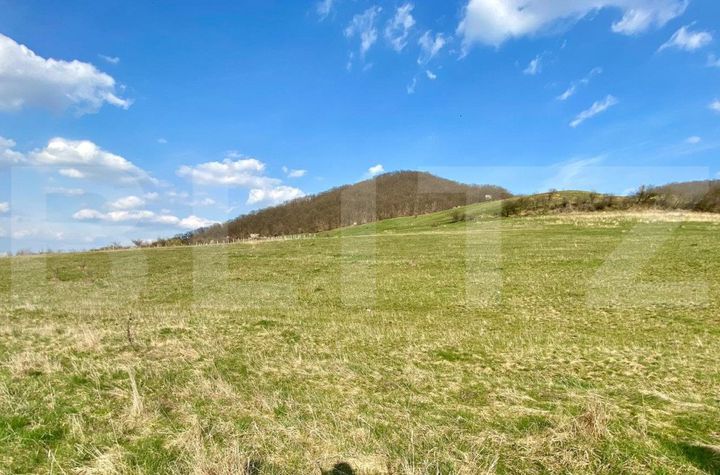 Teren de vanzare BISTRITA - Bistrita-Nasaud anunturi imobiliare Bistrita-Nasaud