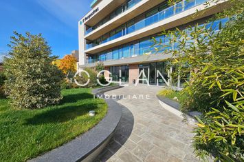 Birou de inchiriat SIBIU - Sibiu anunturi imobiliare Sibiu