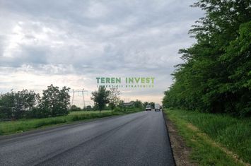 TEREN 5.4 HA PARCELABIL  PUZ APROBAT - DN 4 FRUMUSANI anunturi imobiliare Calarasi
