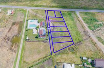 Teren Intravilan de Vânzare 4,000mp Deschidere la DN24 intrare Vaslui anunturi imobiliare Vaslui