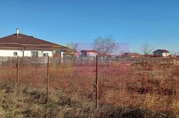 Săbăreni, teren intravilan construibil, cu utilităti in apropiere anunturi imobiliare Giurgiu