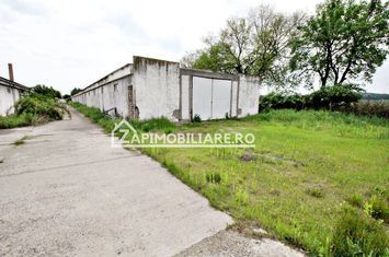 Hala 1244 mp, 1478 mp teren, Ungheni, 0% comision anunturi imobiliare Mures
