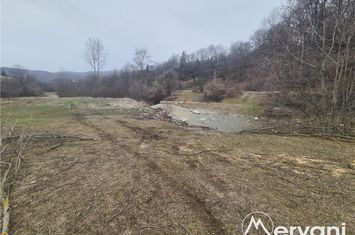 Teren Intravilan de vanzare VALEA DOFTANEI - Prahova anunturi imobiliare Prahova