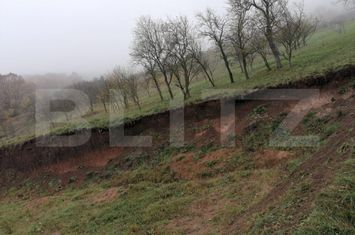 Teren de vanzare ALBA IULIA - Alba anunturi imobiliare Alba