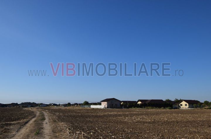 Balotesti Orhideelor 540m2 intravilan deschidere 23ml anunturi imobiliare Bucuresti