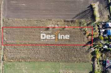 Teren de vanzare COSITENI - Iasi anunturi imobiliare Iasi