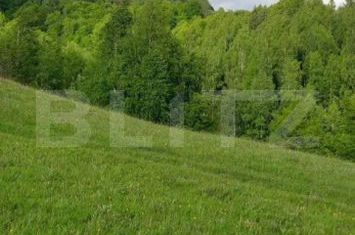 Teren de vanzare PONOREL - Alba anunturi imobiliare Alba