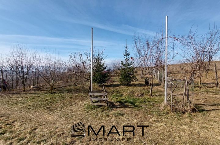 Casă - 1 camere de vanzare SIBIU - Sibiu anunturi imobiliare Sibiu