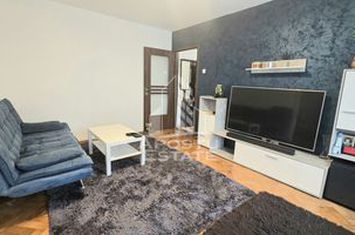 Apartament cu 2 camere, centrala proprie, zona Cetatii anunturi imobiliare Timis