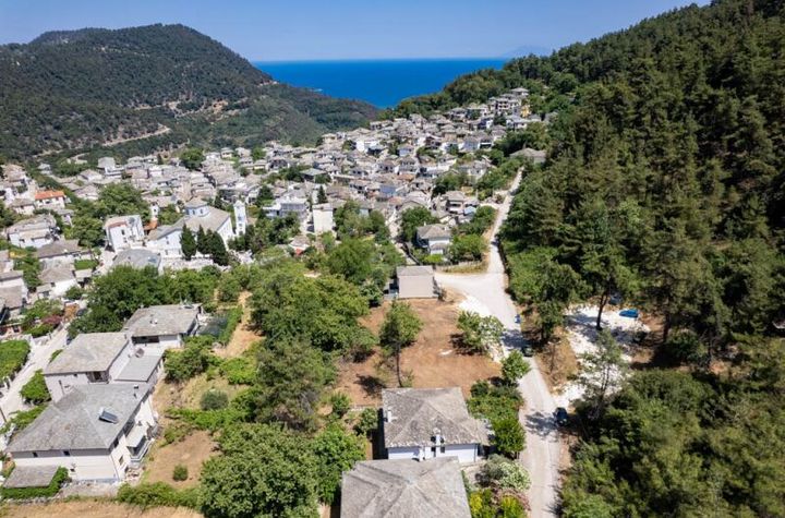 Teren construibil 1393,87 mp, Panagia Thassos anunturi imobiliare Grecia