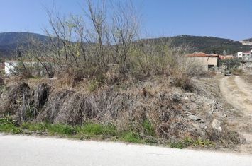 Teren 1.108 mp în Zarkadia anunturi imobiliare Grecia