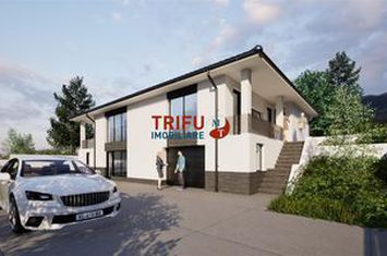 Casă - 4 camere de vanzare CETATE - Alba anunturi imobiliare Alba