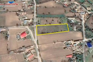 Teren Intravilan de vanzare BESTEPE - Tulcea anunturi imobiliare Tulcea