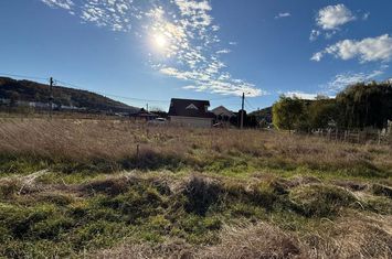 Teren de vanzare SIGHISOARA - Mures anunturi imobiliare Mures