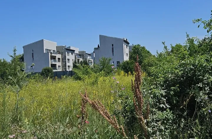 Teren Băneasa, 432 mp sector 1 anunturi imobiliare Bucuresti