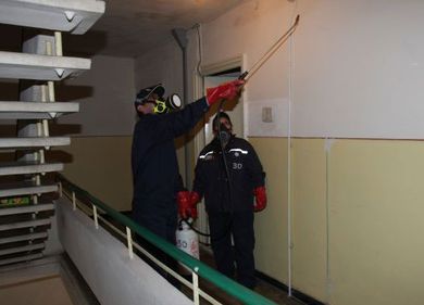 Primaria Municipiului Bucuresti continua masurile de combatere a tantarilor