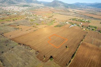 Teren agricol 6.300 mp în Xiropotamos, Drama anunturi imobiliare Grecia